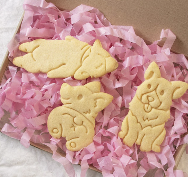 Cookie Cutters and Baking Tools Set