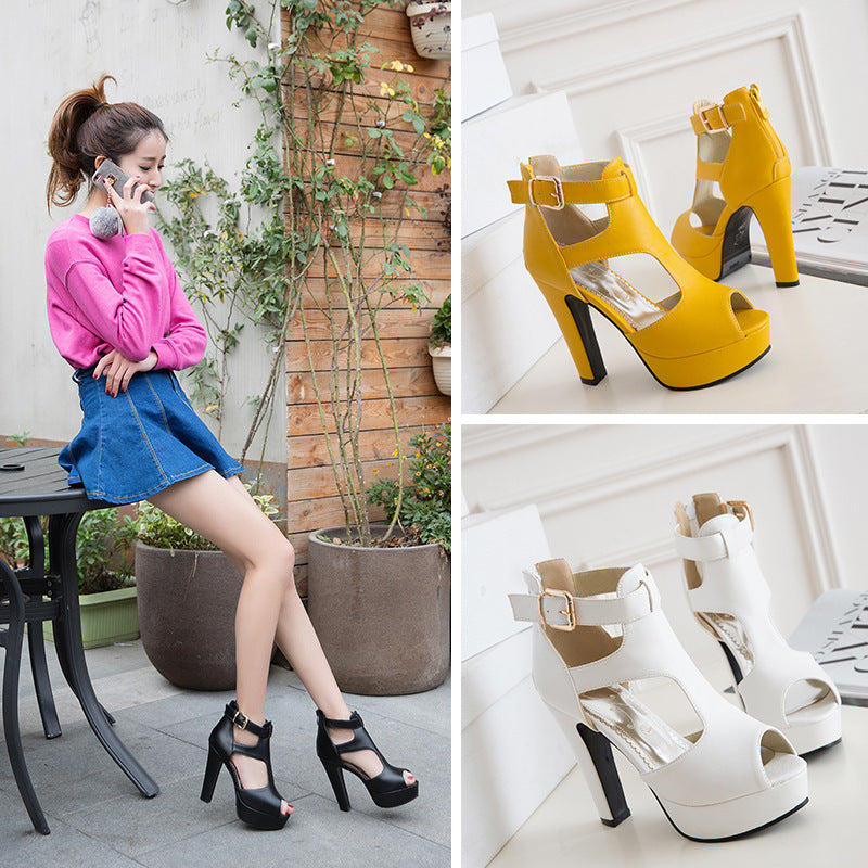 New Waterproof Hollow Chunky Heel Fish Mouth Sandals