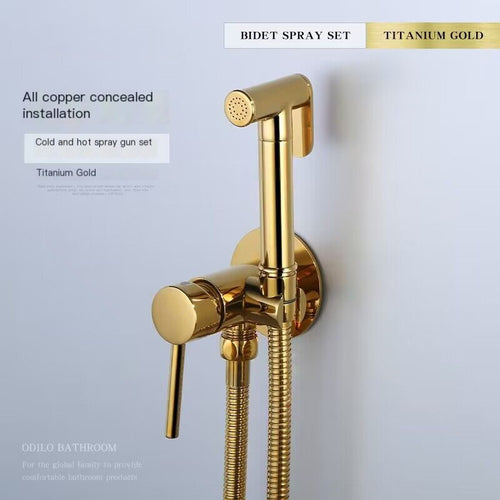 "Wall-Mounted Brass Bidet Sprayer with Titanium Finish"