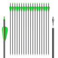 NorthSpoor 31" 18Pcs Archery Carbon Arrows Practice Hunting Arrow with Removable Tips Shaft Spine 500 for Both Compound Bow and Recurve Bows