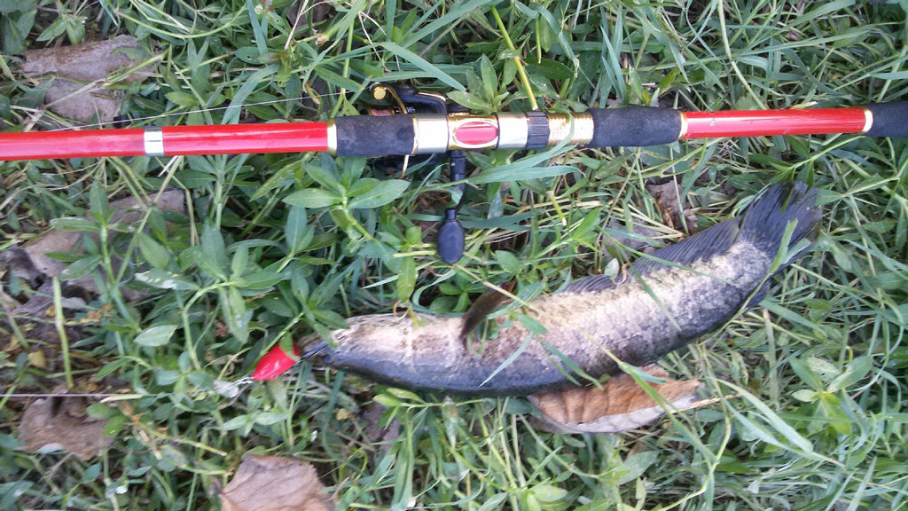 Fishing Tools Set with American Bait