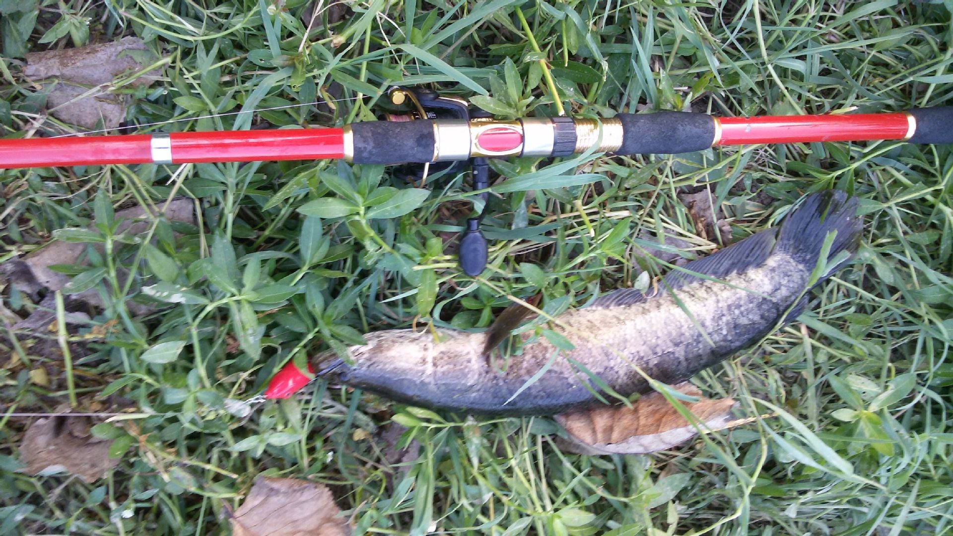 Fishing Tools Set with American Bait