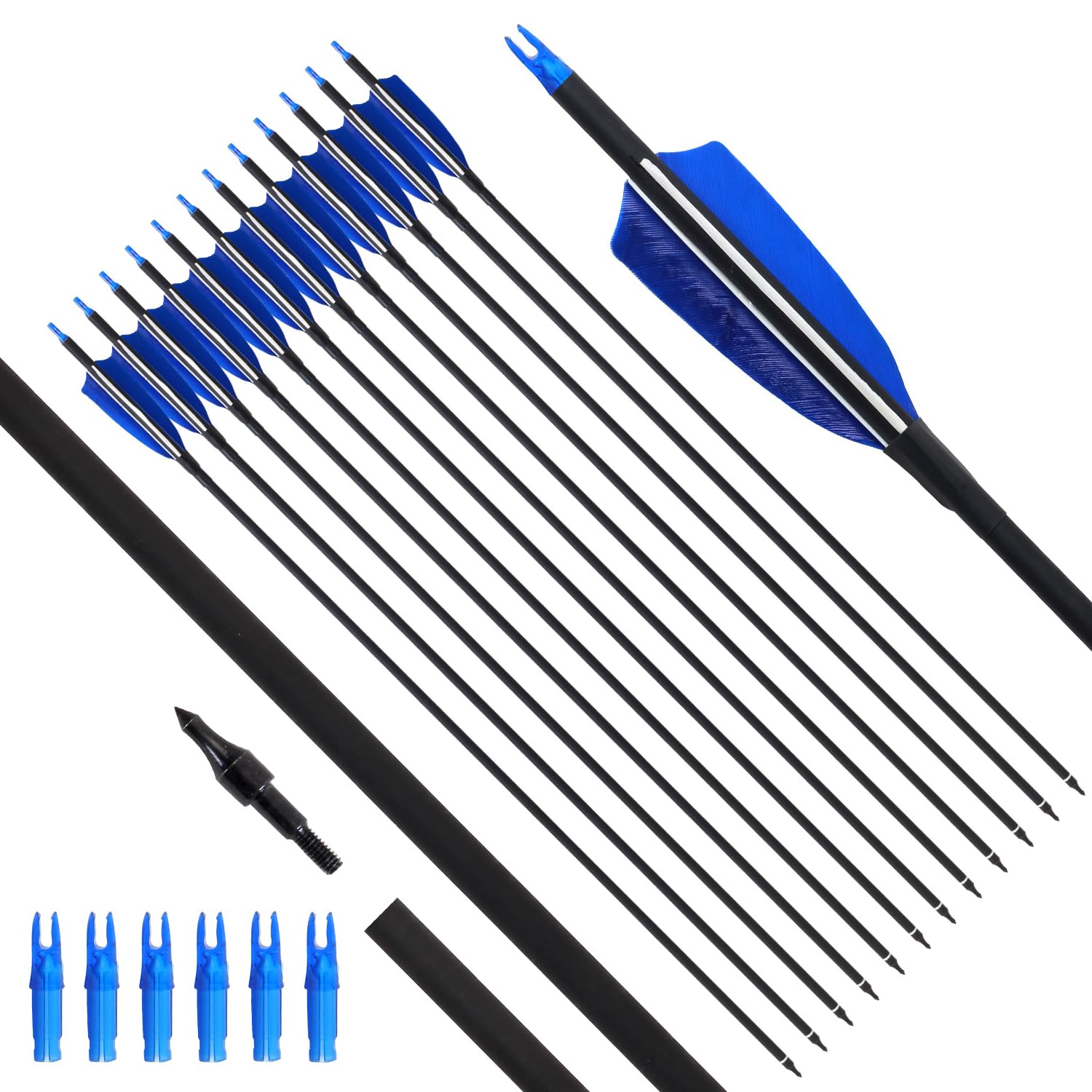 FENJANER Archery 31 Carbon Arrows Archery Target Practice Hunting Arrow with 4 Natural Turkey Feathers Spine 500 for Recurve Bow and Compound Bow (Pack of 12) (Blue)