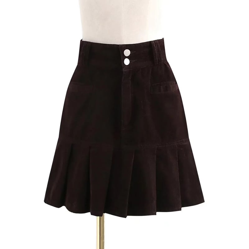High Waist A-line Pleated Skirt for Women (Autumn/Winter)