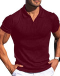 Vuiosrx Mens V Neck Muscle Polo Shirts Slim Fit Short Sleeve Zipper Ribbed Polo T Shirt Stretch Golf Tees